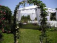 /album/bodas/bodasaire-65-jpg/
